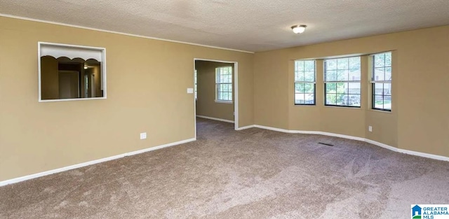 unfurnished room featuring a textured ceiling and carpet floors