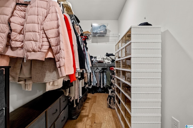 walk in closet with wood-type flooring