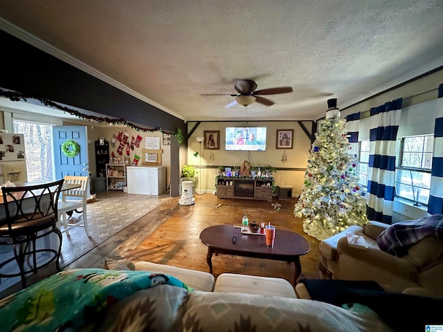 living room featuring a textured ceiling, ceiling fan, and crown molding