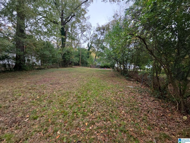 8035 4th Ave S, Birmingham, AL 35206 - view of yard