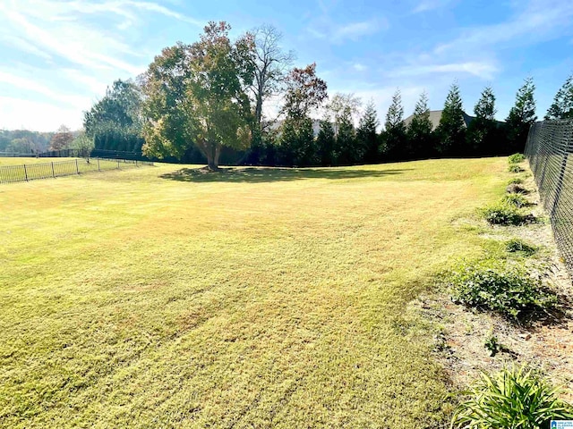 view of yard featuring a rural view