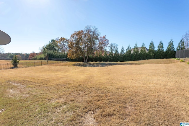 view of yard with a rural view