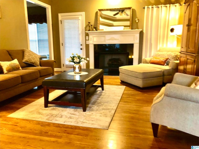 living room with hardwood / wood-style flooring