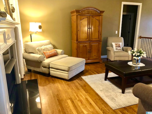 living room featuring wood-type flooring