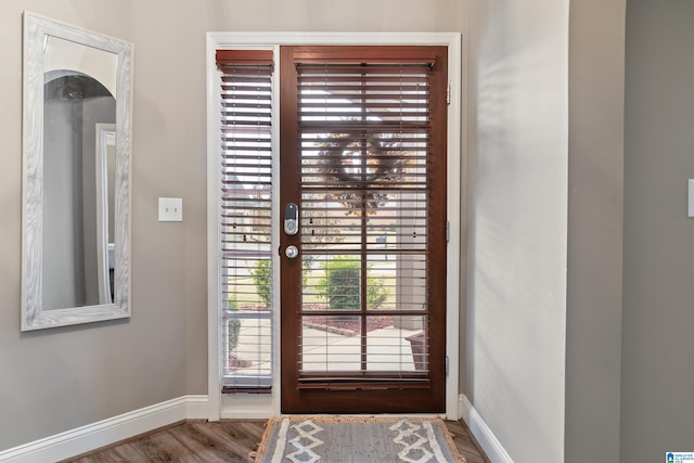 entryway featuring wood-type flooring