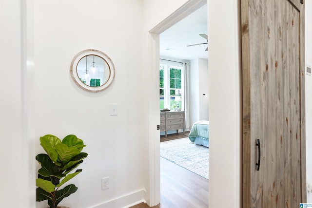 hallway with hardwood / wood-style flooring