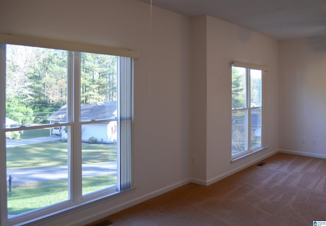 unfurnished room with a wealth of natural light and carpet flooring