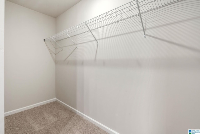 walk in closet featuring carpet