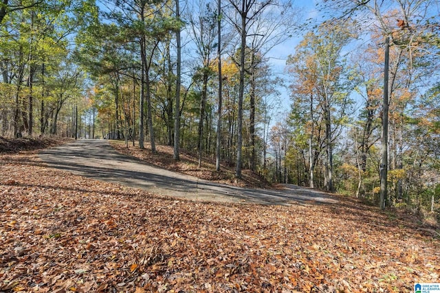 view of road