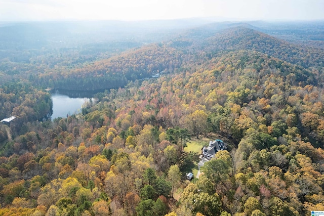 birds eye view of property with a water and mountain view