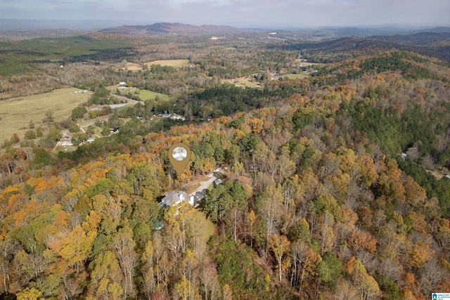 drone / aerial view with a mountain view