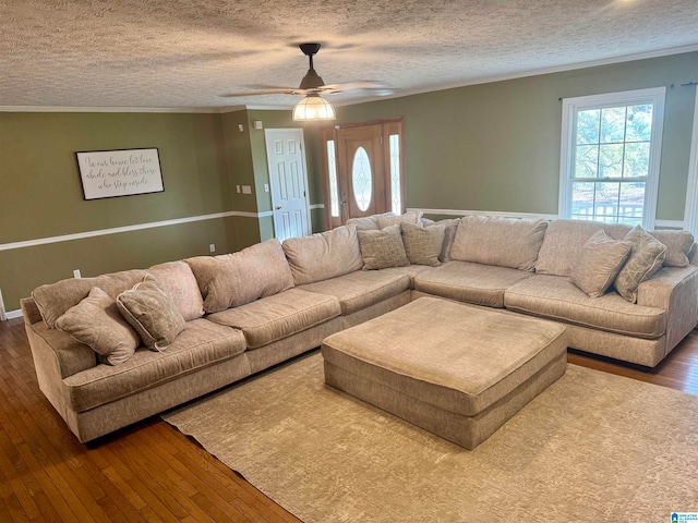 living room featuring ceiling fan, wood-type flooring, a textured ceiling, and ornamental molding