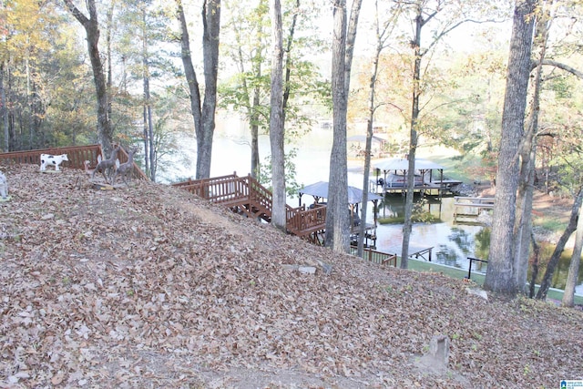 view of yard with a water view and a boat dock