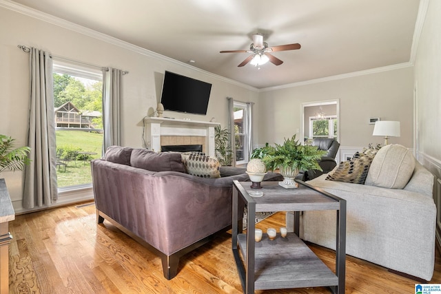 living room featuring ceiling fan, light hardwood / wood-style floors, crown molding, and a fireplace