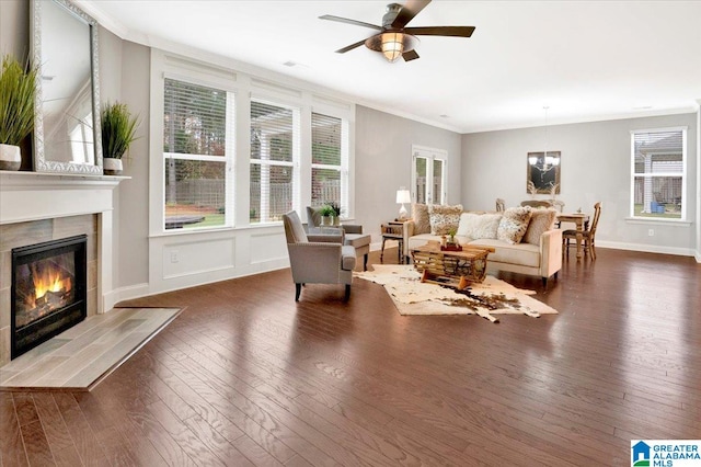 living room featuring ceiling fan with notable chandelier, dark hardwood / wood-style floors, ornamental molding, and a tiled fireplace