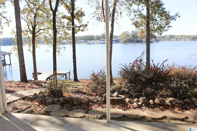 water view with a dock