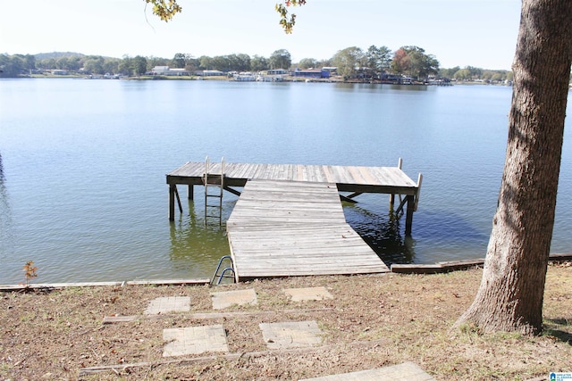 dock area with a water view