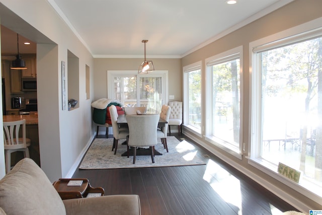 dining area featuring crown molding and dark wood-type flooring