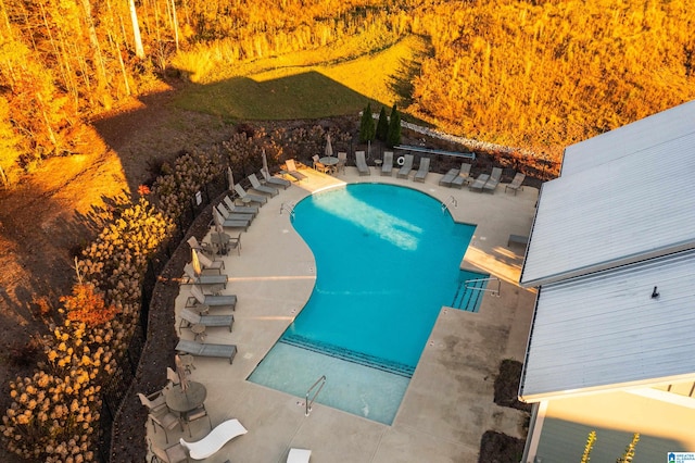 view of swimming pool featuring a patio