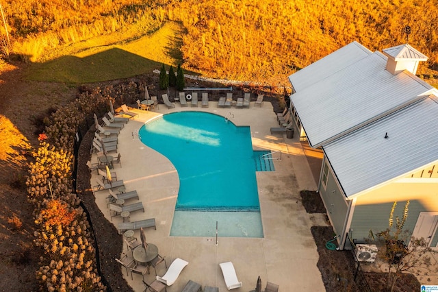 view of pool with a patio