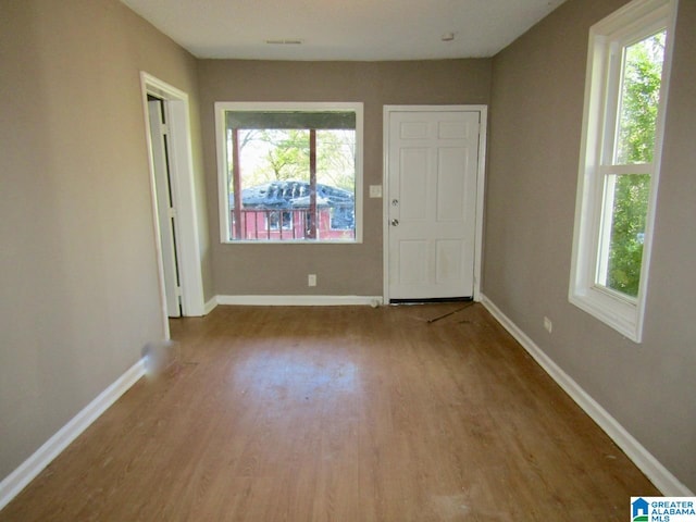 interior space featuring wood-type flooring and a wealth of natural light