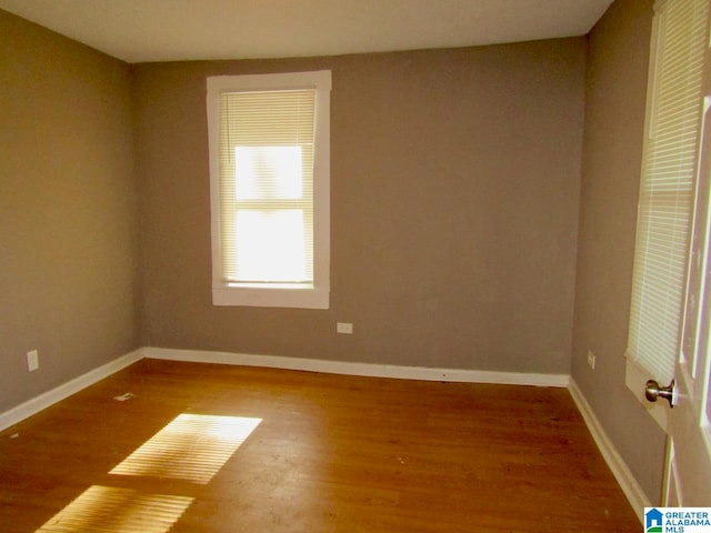 spare room with wood-type flooring