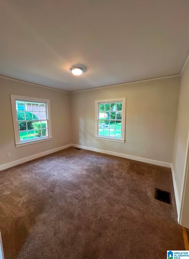 carpeted spare room with crown molding and a wealth of natural light