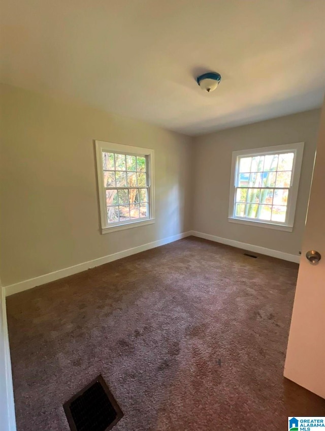 carpeted spare room featuring a wealth of natural light