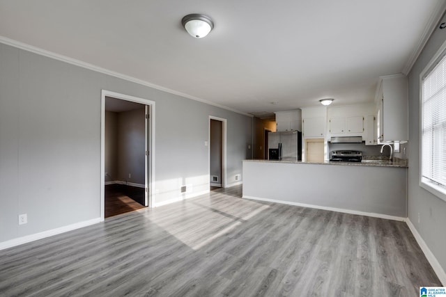 unfurnished living room with sink, light hardwood / wood-style flooring, and ornamental molding