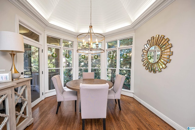 dining room with a raised ceiling, a wealth of natural light, and dark hardwood / wood-style flooring