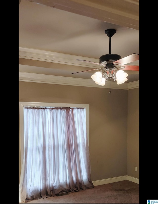 carpeted spare room with ceiling fan and ornamental molding