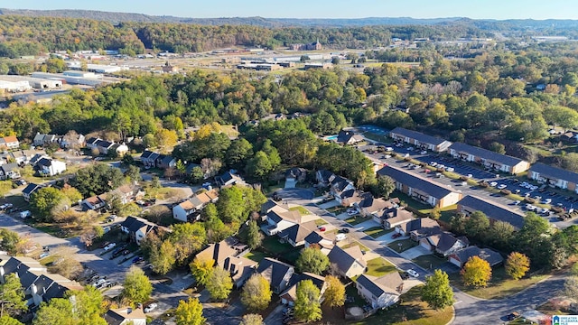 bird's eye view