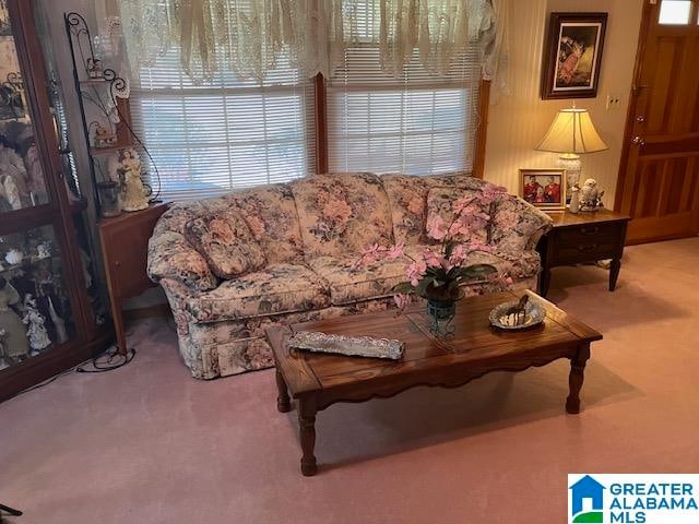 living room featuring carpet floors