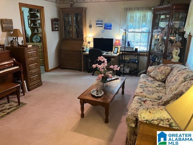 living room with carpet floors