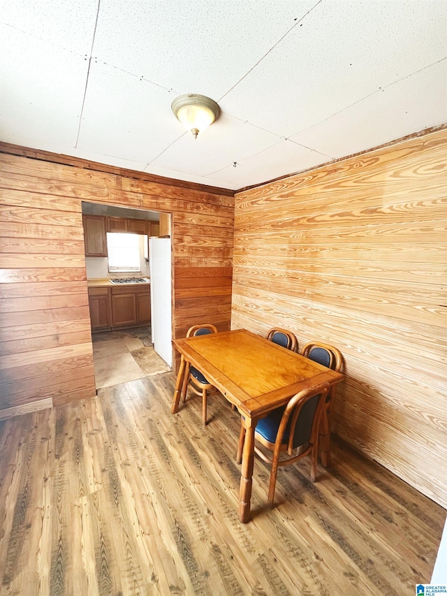 dining room with wood walls and light hardwood / wood-style flooring