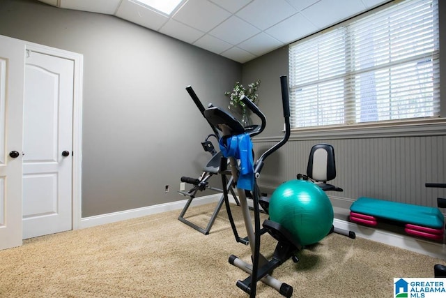 workout room with carpet flooring and a paneled ceiling