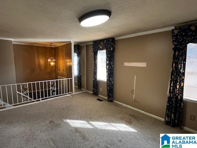 spare room with crown molding, carpet floors, and a textured ceiling