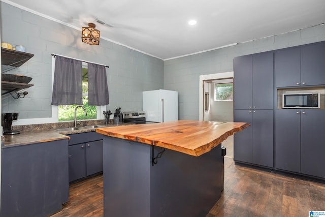 kitchen featuring plenty of natural light, sink, butcher block counters, and stainless steel appliances