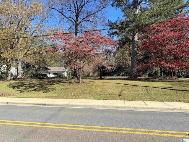 1807 Moncrief Rd, Gardendale, AL 35071 - view of green lawn