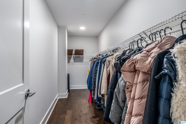 walk in closet with dark hardwood / wood-style flooring