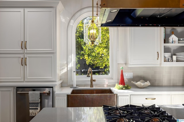 kitchen featuring tasteful backsplash, sink, white cabinets, and ventilation hood