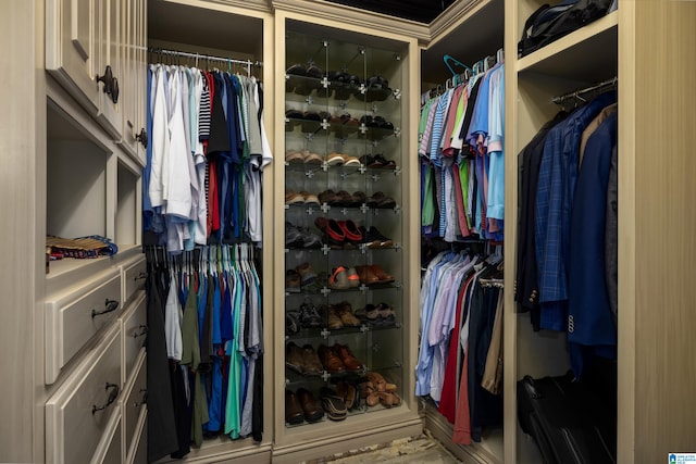 view of spacious closet