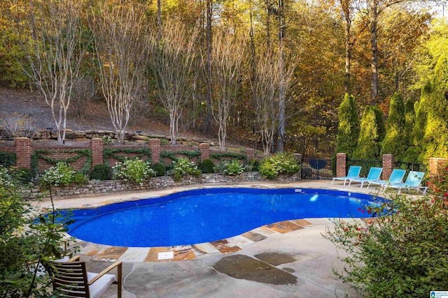 view of swimming pool featuring a patio