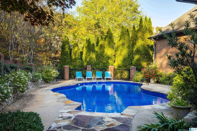 view of swimming pool with a patio area