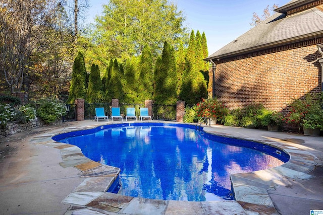 view of pool with a patio