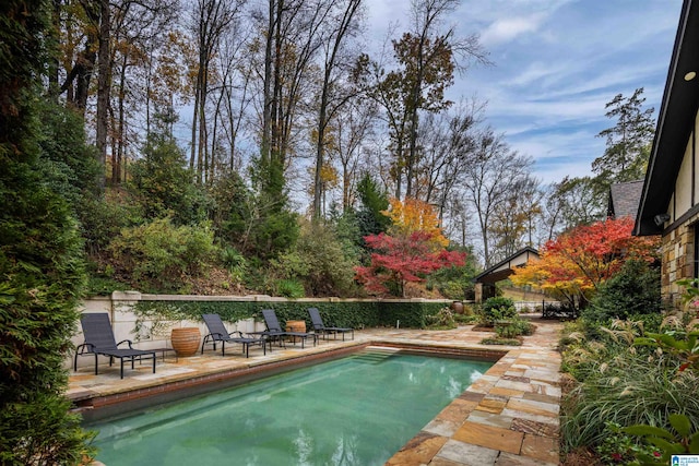 view of swimming pool with a patio