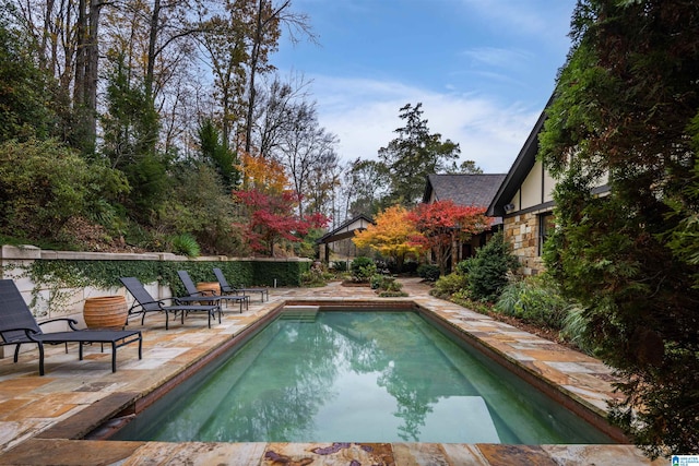 view of swimming pool featuring a patio