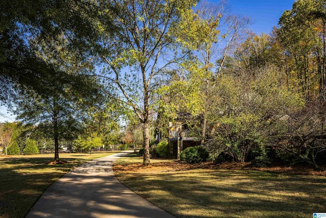 view of home's community featuring a lawn