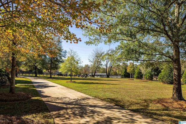 view of community with a yard