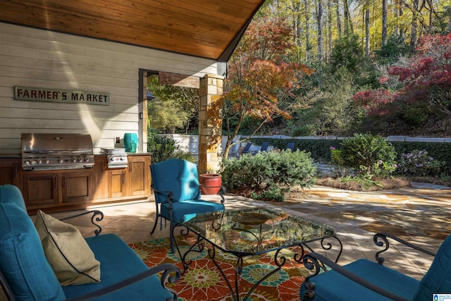 view of patio / terrace featuring area for grilling and exterior kitchen